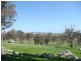 Pinch Hill Hume Highway, Gunning NSW 2581