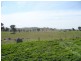 Pinch Hill Hume Highway, Gunning NSW 2581