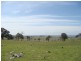 Pinch Hill Hume Highway, Gunning NSW 2581