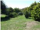 589 Covan Creek Road, Lake Bathurst NSW 2580