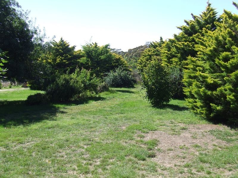 589 Covan Creek Road, Lake Bathurst NSW 2580