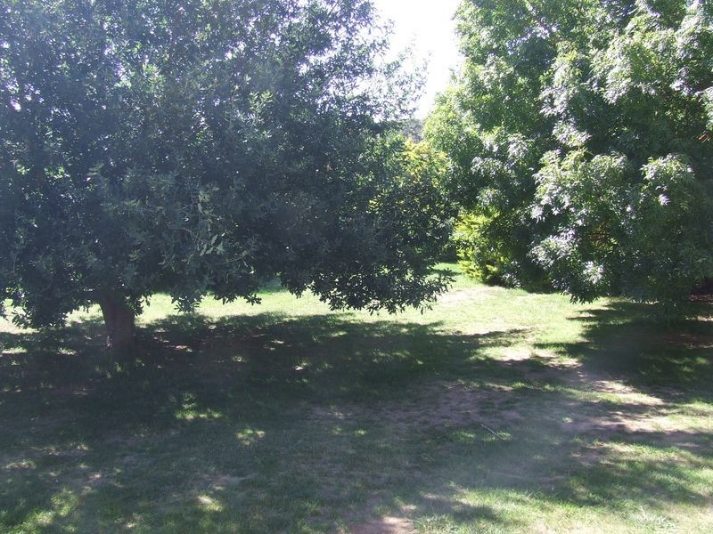 589 Covan Creek Road, Lake Bathurst NSW 2580