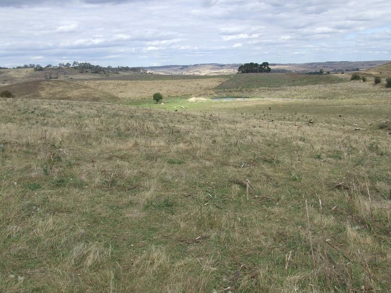 4988 Taralga Road, Taralga NSW 2580
