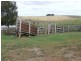 4988 Taralga Road, Taralga NSW 2580
