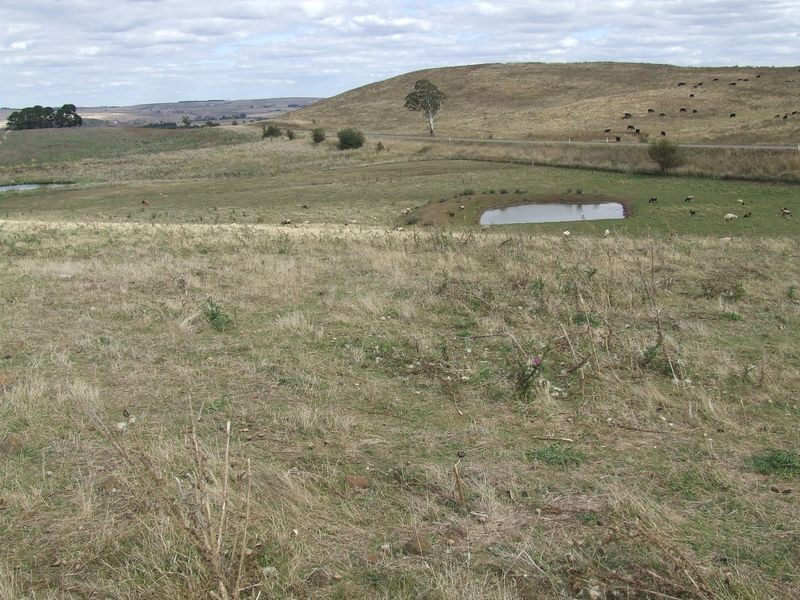4988 Taralga Road, Taralga NSW 2580