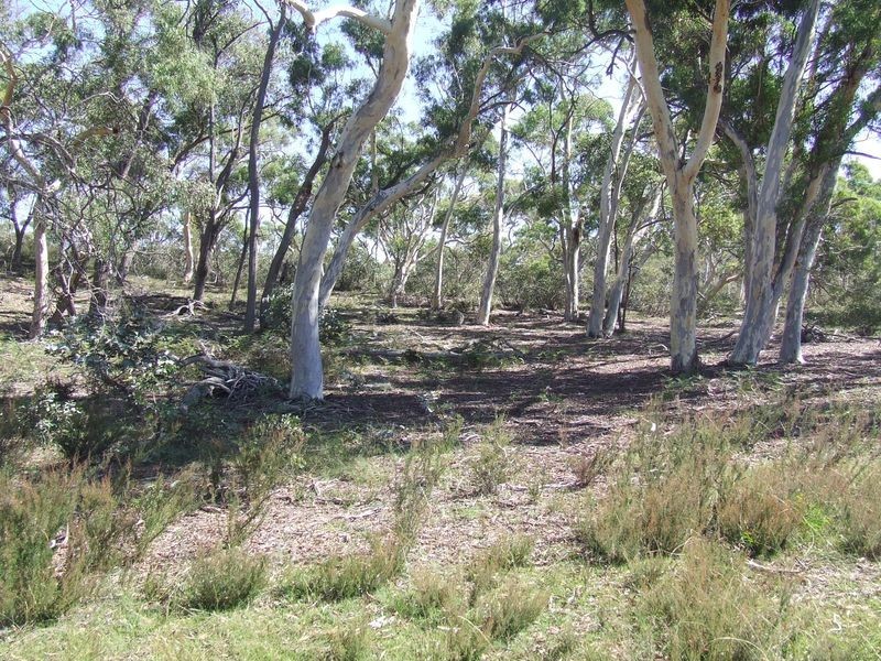 2264 Oallen Ford Road, Windellama NSW 2580