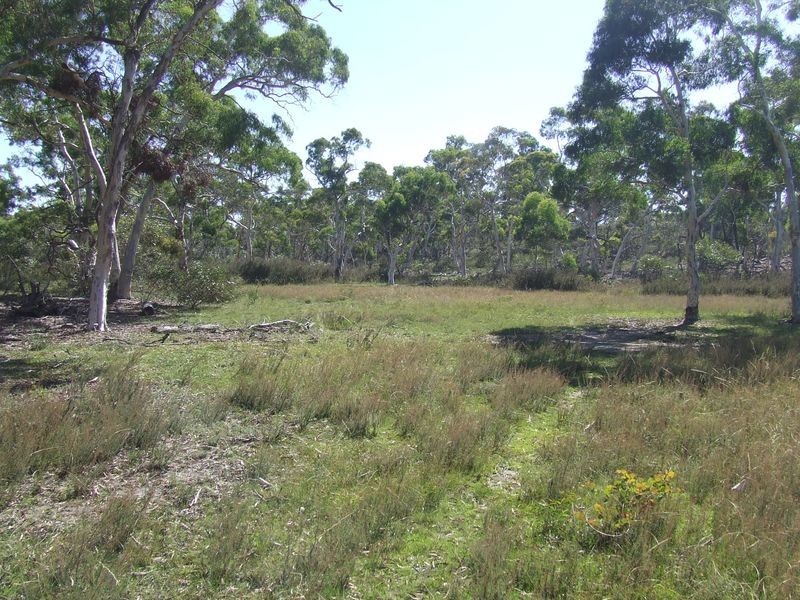 2264 Oallen Ford Road, Windellama NSW 2580