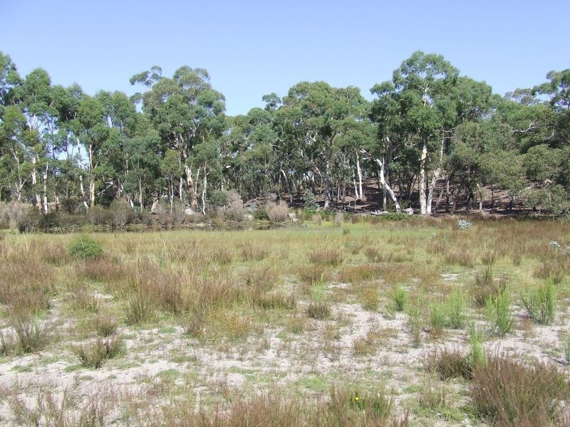 2264 Oallen Ford Road, Windellama NSW 2580