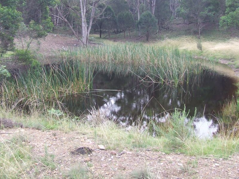 1016 Cullulla Road, Tarago NSW 2580