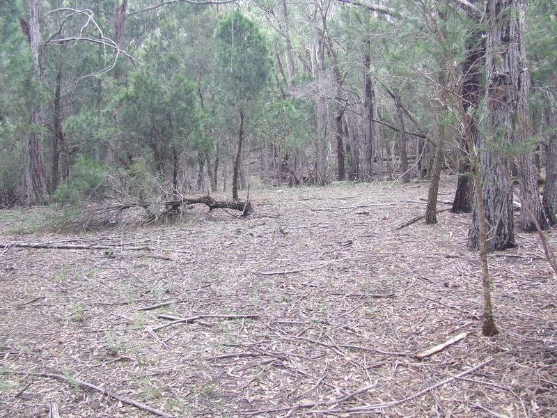 1016 Cullulla Road, Tarago NSW 2580