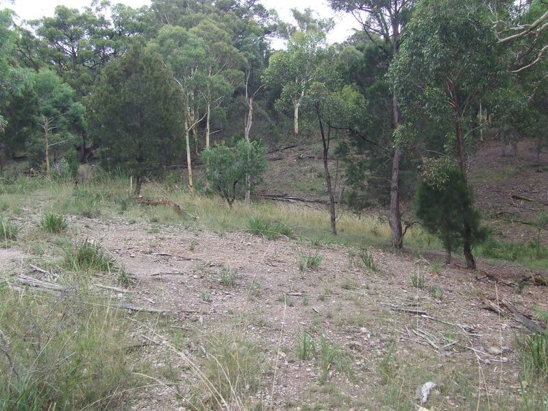 1016 Cullulla Road, Tarago NSW 2580