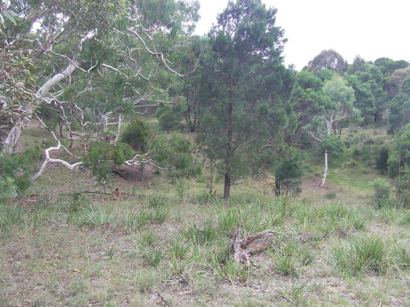 1016 Cullulla Road, Tarago NSW 2580