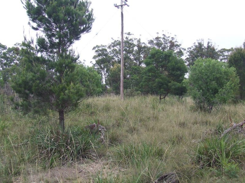 1016 Cullulla Road, Tarago NSW 2580