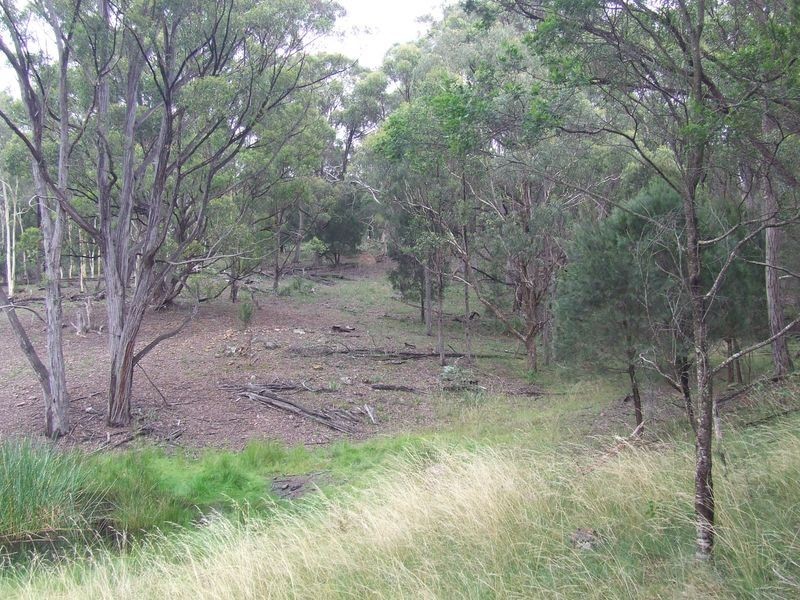 1016 Cullulla Road, Tarago NSW 2580