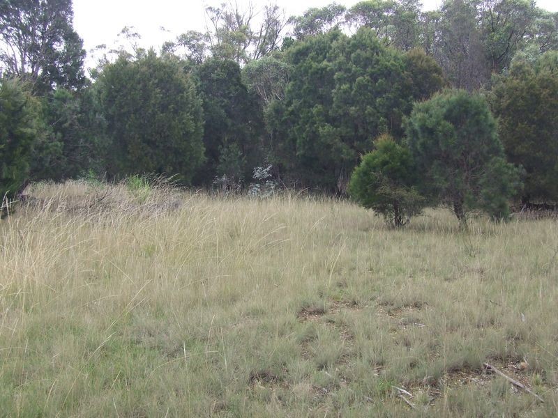 1016 Cullulla Road, Tarago NSW 2580