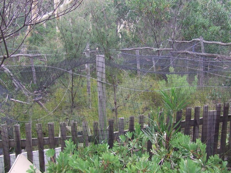 13 Lomatia Close, Tallong NSW 2579