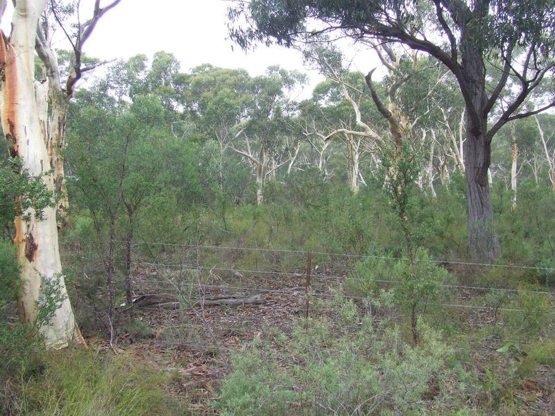 13 Lomatia Close, Tallong NSW 2579