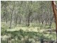 1382 Jerrong Road, Bannaby NSW 2580