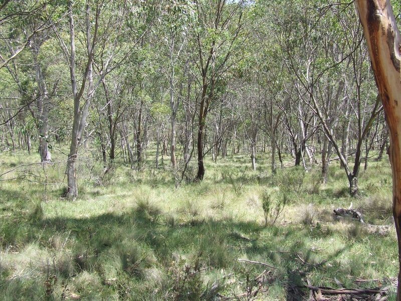 1382 Jerrong Road, Bannaby NSW 2580