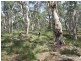 1382 Jerrong Road, Bannaby NSW 2580