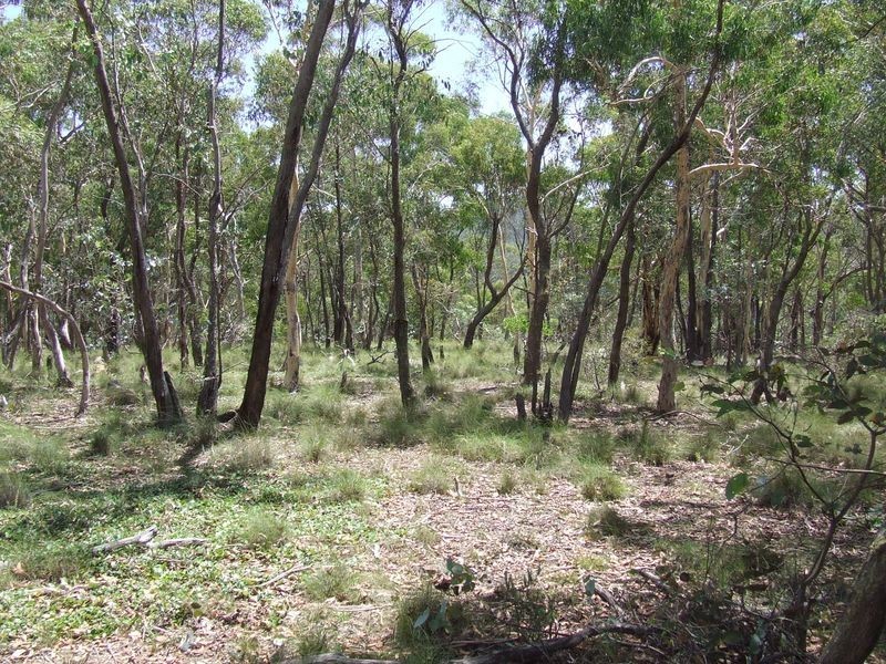 1382 Jerrong Road, Bannaby NSW 2580