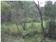 1382 Jerrong Road, Bannaby NSW 2580