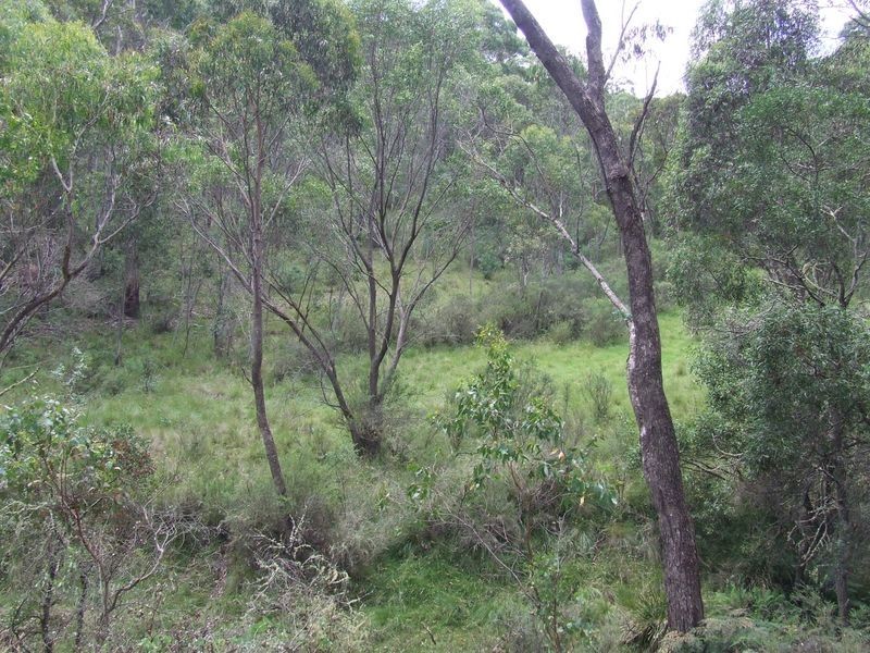 1382 Jerrong Road, Bannaby NSW 2580