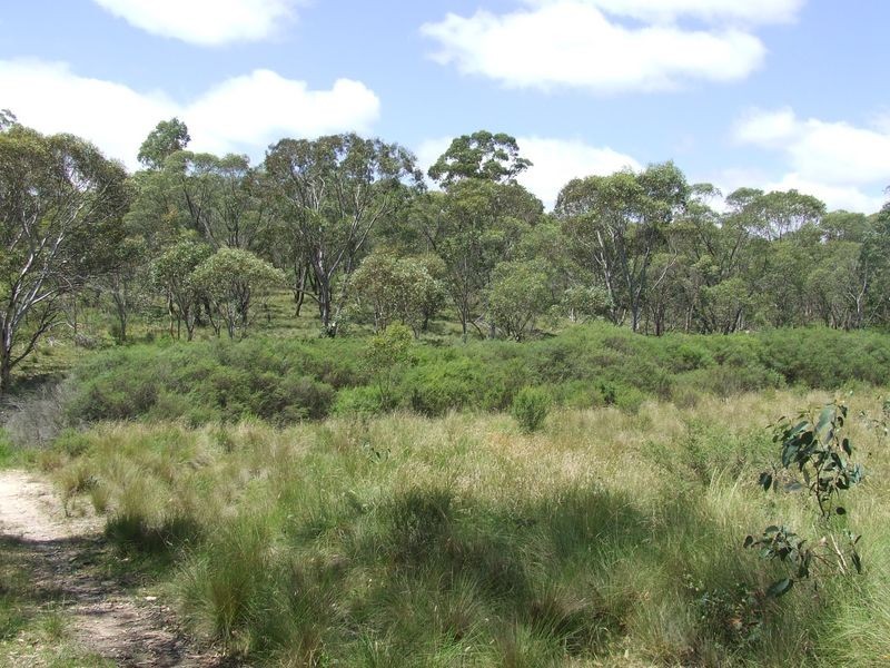 1382 Jerrong Road, Bannaby NSW 2580