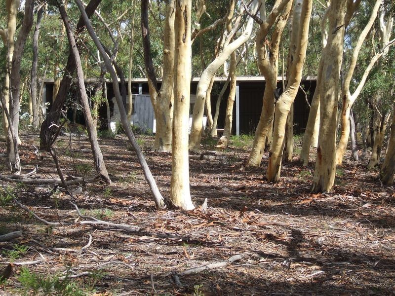 2172 Mayfield Road, Mayfield NSW 2580