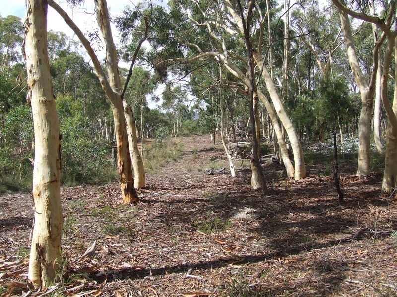 2172 Mayfield Road, Mayfield NSW 2580