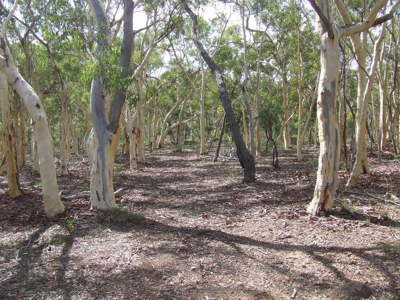 2172 Mayfield Road, Mayfield NSW 2580