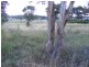 76 Greendale Crescent, Goulburn NSW 2580