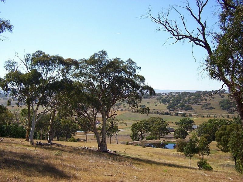 256 Run-O-Waters Drive, Goulburn NSW 2580