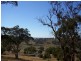 256 Run-O-Waters Drive, Goulburn NSW 2580