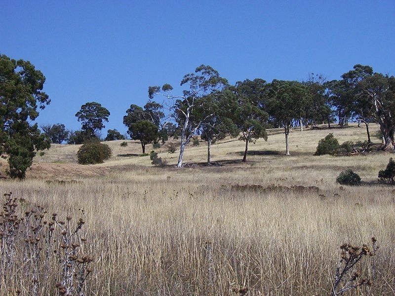 256 Run-O-Waters Drive, Goulburn NSW 2580