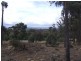 Lot 204 Fernleigh Close, Windellama NSW 2580