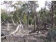 Lot 204 Fernleigh Close, Windellama NSW 2580