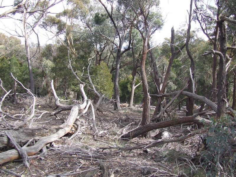 Lot 204 Fernleigh Close, Windellama NSW 2580