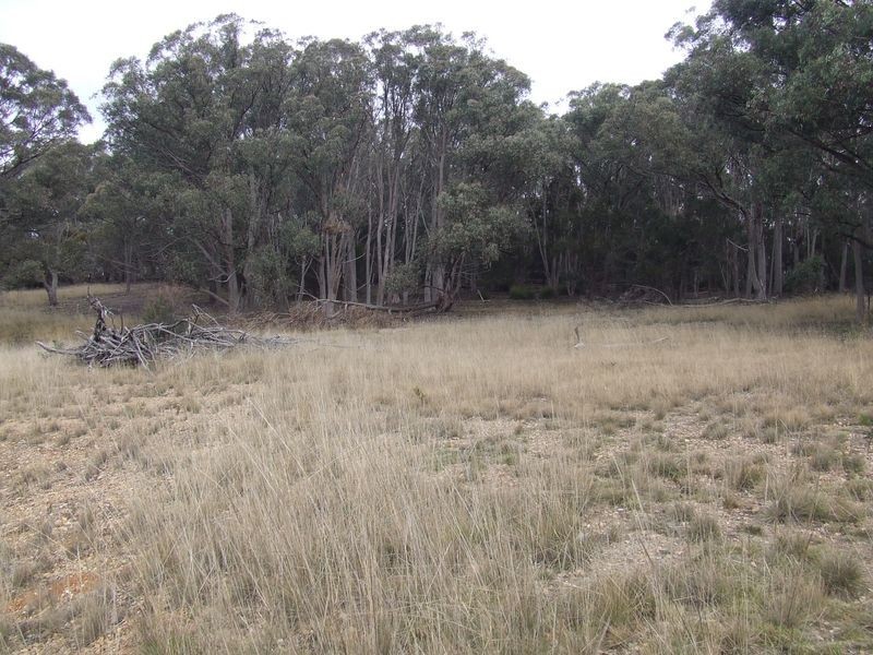 Lot 204 Fernleigh Close, Windellama NSW 2580