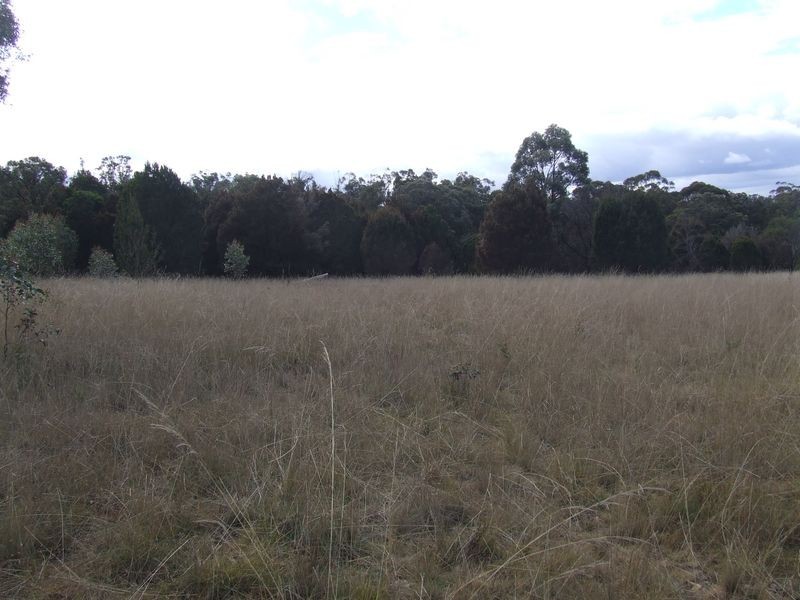 Lot 204 Fernleigh Close, Windellama NSW 2580