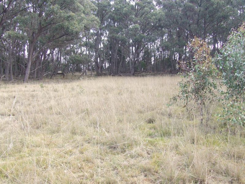 Lot 204 Fernleigh Close, Windellama NSW 2580
