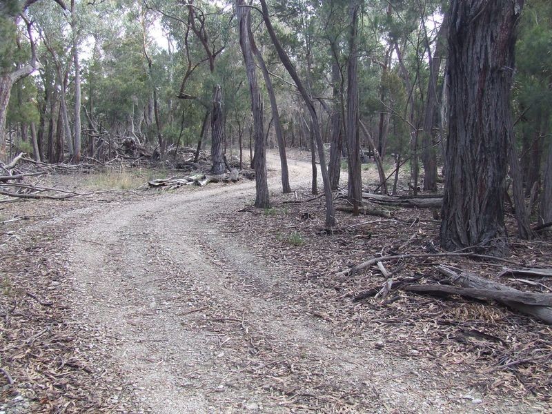 Lot 204 Fernleigh Close, Windellama NSW 2580