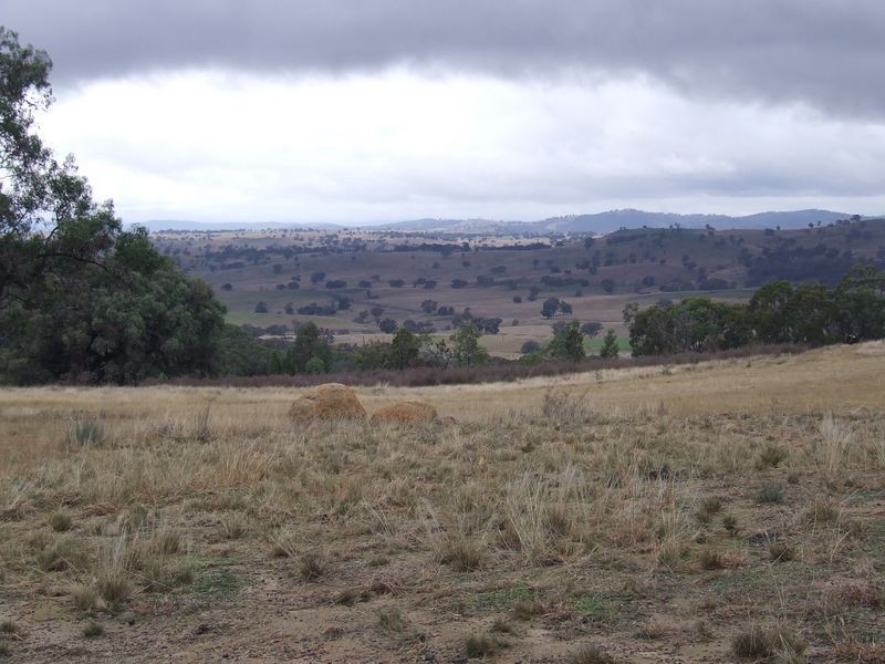 511 Reids Flat Road, Bigga NSW 2583