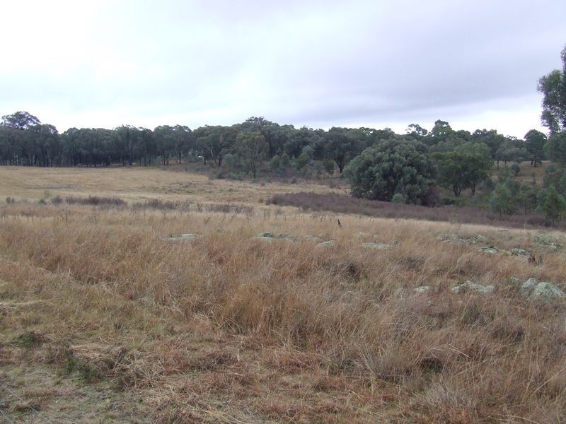 511 Reids Flat Road, Bigga NSW 2583