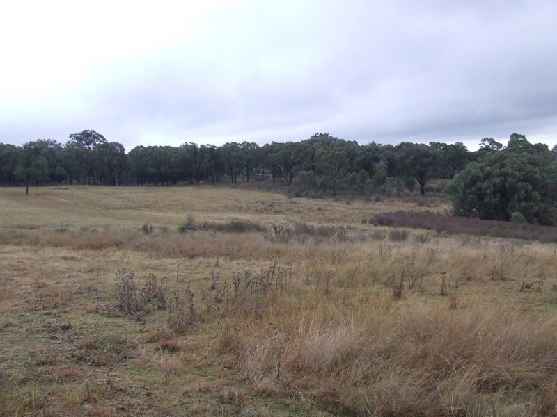 511 Reids Flat Road, Bigga NSW 2583