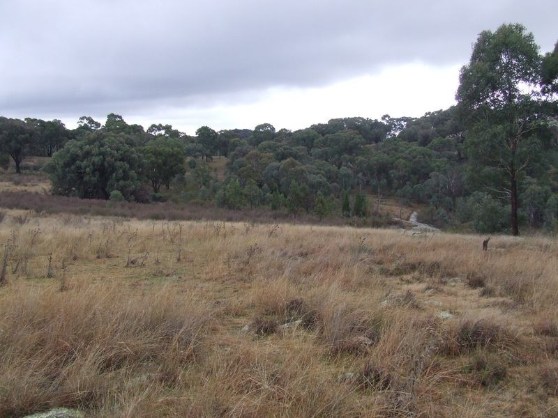 511 Reids Flat Road, Bigga NSW 2583