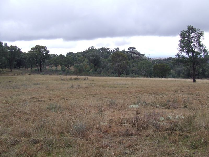 511 Reids Flat Road, Bigga NSW 2583