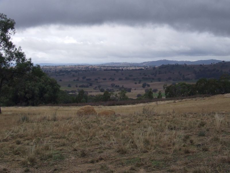 511 Reids Flat Road, Bigga NSW 2583