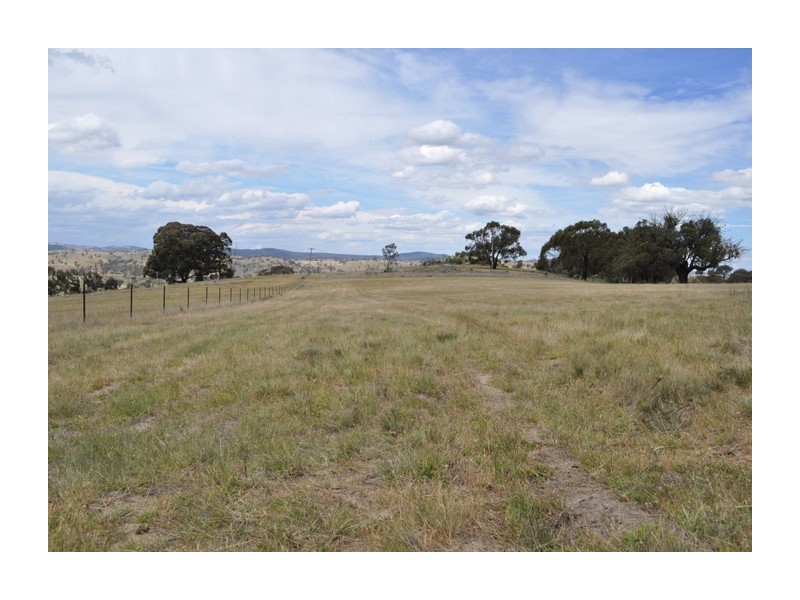 513 Reids Flat Road, Bigga NSW 2583