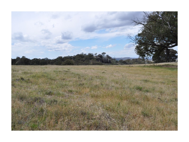 513 Reids Flat Road, Bigga NSW 2583